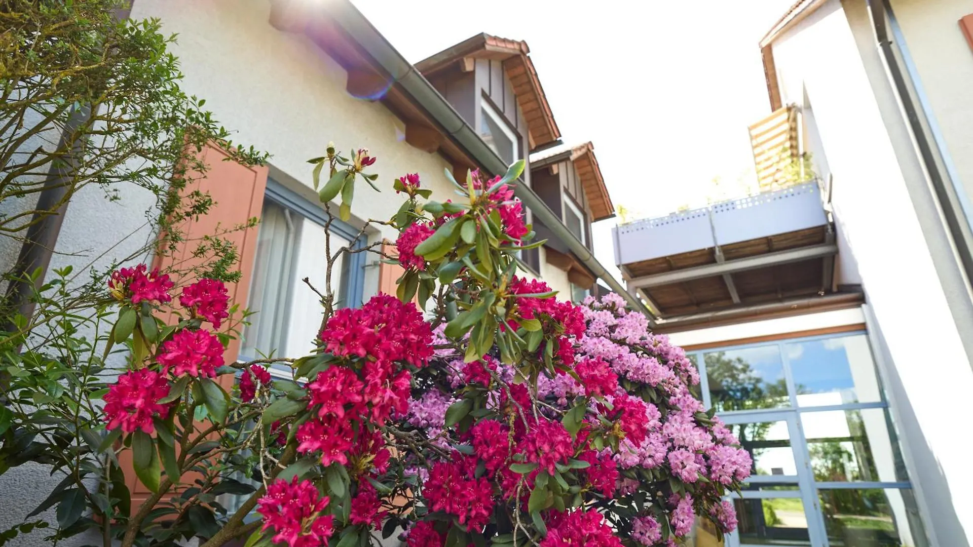 Landhotel Seerose Langenzenn Hotel